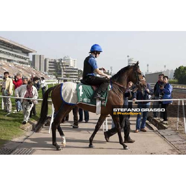 Morning trackworks at Sha Tin racetrack - Mastery Hong Kong- Sha Tin, 8th dec. 2010 ph. Stefano Grasso