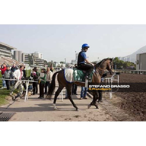 Morning trackworks at Sha Tin racetrack - Mastery Hong Kong- Sha Tin, 8th dec. 2010 ph. Stefano Grasso