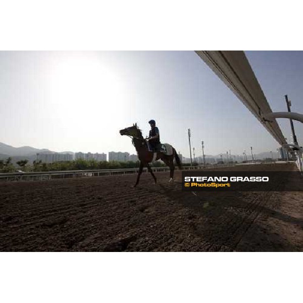 Morning trackworks at Sha Tin racetrack - Mastery Hong Kong- Sha Tin, 8th dec. 2010 ph. Stefano Grasso