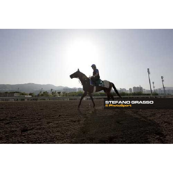 Morning trackworks at Sha Tin racetrack - Mastery Hong Kong- Sha Tin, 8th dec. 2010 ph. Stefano Grasso