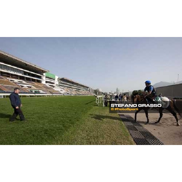 Morning trackworks at Sha Tin racetrack - Mastery Hong Kong- Sha Tin, 8th dec. 2010 ph. Stefano Grasso