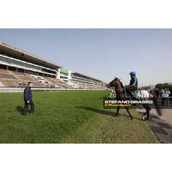 Morning trackworks at Sha Tin racetrack - Mastery Hong Kong- Sha Tin, 8th dec. 2010 ph. Stefano Grasso