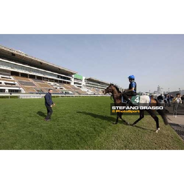 Morning trackworks at Sha Tin racetrack - Mastery Hong Kong- Sha Tin, 8th dec. 2010 ph. Stefano Grasso