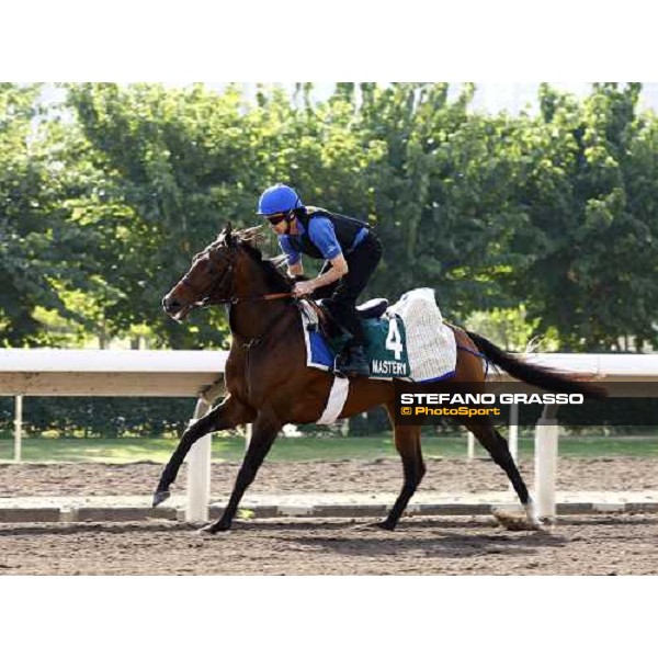 Morning trackworks at Sha Tin racetrack - Mastery Hong Kong- Sha Tin, 8th dec. 2010 ph. Stefano Grasso