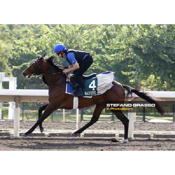 Morning trackworks at Sha Tin racetrack - Mastery Hong Kong- Sha Tin, 8th dec. 2010 ph. Stefano Grasso