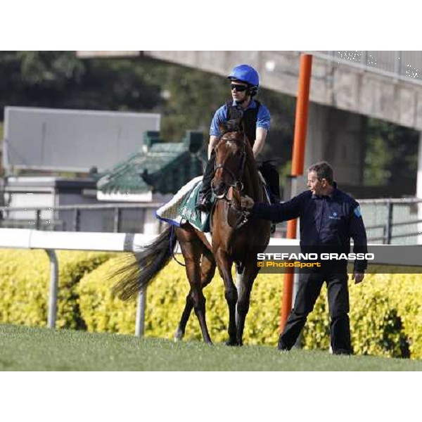 Morning trackworks at Sha Tin racetrack - Mastery Hong Kong- Sha Tin, 8th dec. 2010 ph. Stefano Grasso