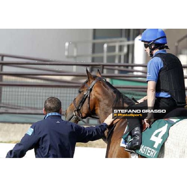 Morning trackworks at Sha Tin racetrack - Mastery Hong Kong- Sha Tin, 8th dec. 2010 ph. Stefano Grasso