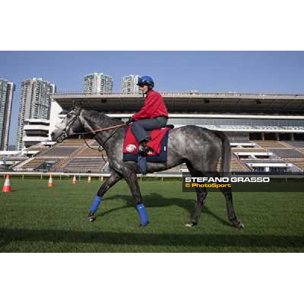 Morning trackworks at Sha Tin racetrack - Glass Harmonium Hong Kong- Sha Tin, 8th dec. 2010 ph. Stefano Grasso