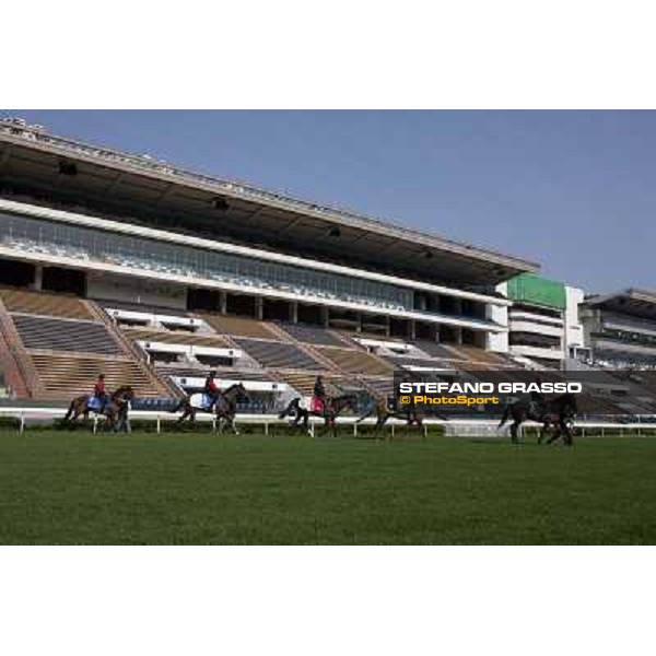 Morning trackworks at Sha Tin racetrack - Hong Kong- Sha Tin, 8th dec. 2010 ph. Stefano Grasso