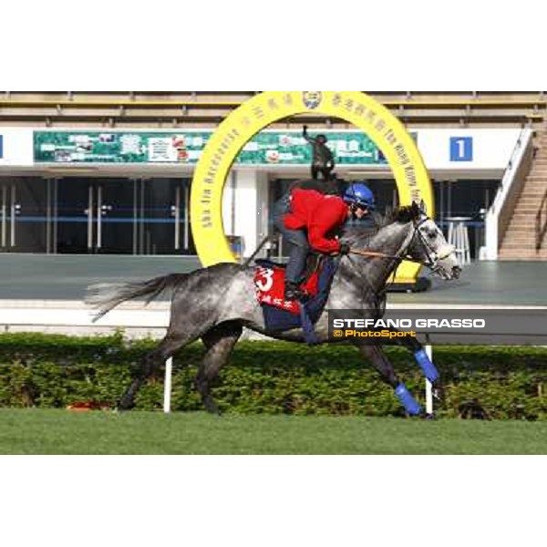 Morning trackworks at Sha Tin racetrack - Glass Harmonium Hong Kong- Sha Tin, 8th dec. 2010 ph. Stefano Grasso