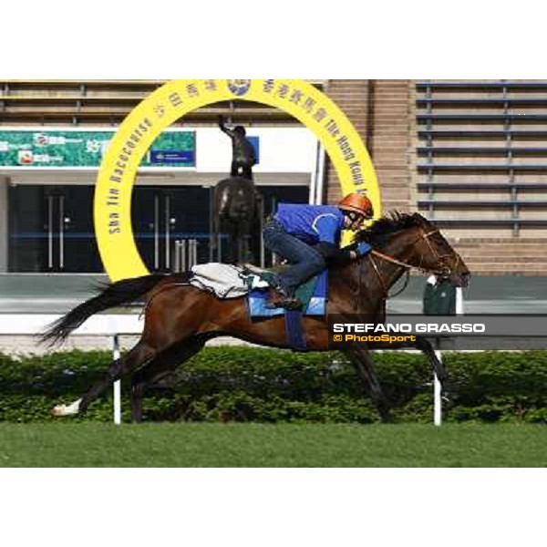 Morning trackworks at Sha Tin racetrack - Jaguar Mail Hong Kong- Sha Tin, 8th dec. 2010 ph. Stefano Grasso