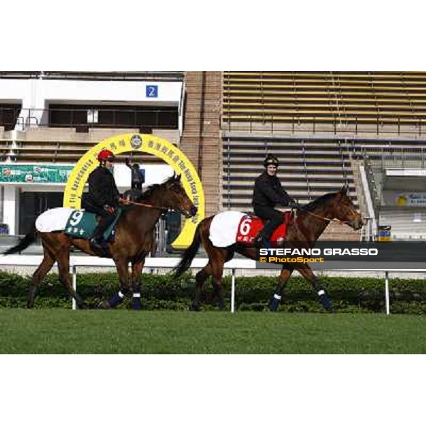 Morning trackworks at Sha Tin racetrack - Planteur - Board Meeting Hong Kong- Sha Tin, 8th dec. 2010 ph. Stefano Grasso