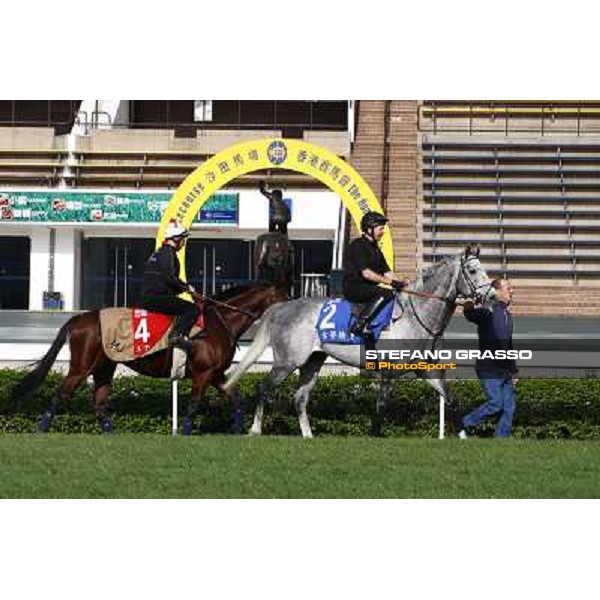 Morning trackworks at Sha Tin racetrack - Dream Eater and Sri Putra Hong Kong- Sha Tin, 8th dec. 2010 ph. Stefano Grasso