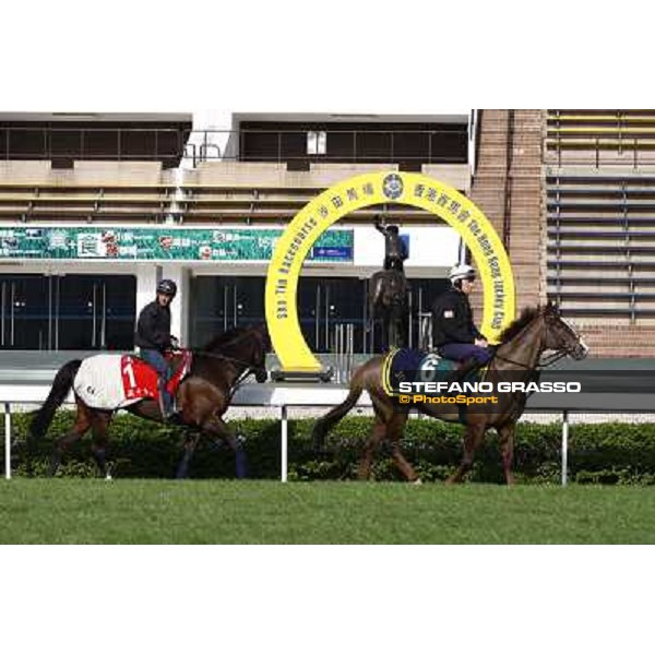 Morning trackworks at Sha Tin racetrack - Indian Days and Vision d\' Etat Hong Kong- Sha Tin, 8th dec. 2010 ph. Stefano Grasso