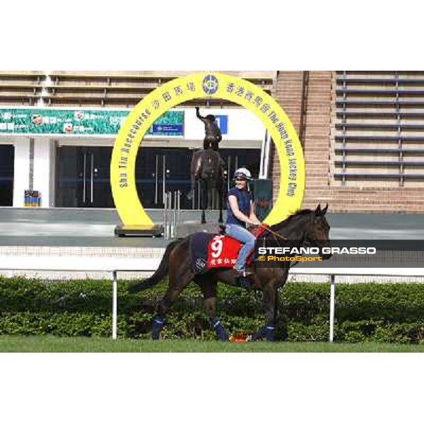 Morning trackworks at Sha Tin racetrack - Snow Fairy Hong Kong- Sha Tin, 8th dec. 2010 ph. Stefano Grasso