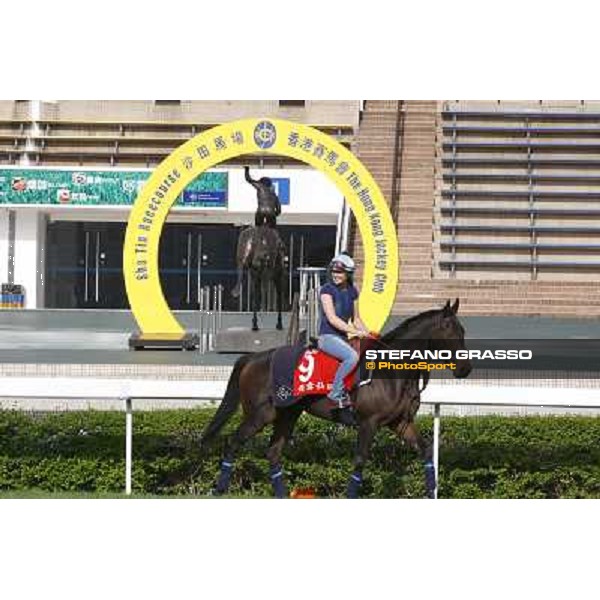 Morning trackworks at Sha Tin racetrack - Snow Fairy Hong Kong- Sha Tin, 8th dec. 2010 ph. Stefano Grasso