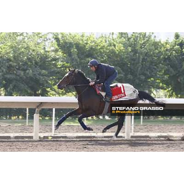 Morning trackworks at Sha Tin racetrack - Vision d\'Etat Hong Kong- Sha Tin, 8th dec. 2010 ph. Stefano Grasso