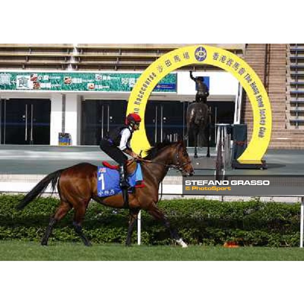 Morning trackworks at Sha Tin racetrack - Paco Boy Hong Kong- Sha Tin, 8th dec. 2010 ph. Stefano Grasso