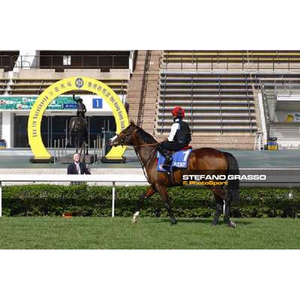 Morning trackworks at Sha Tin racetrack - Paco Boy Hong Kong- Sha Tin, 8th dec. 2010 ph. Stefano Grasso