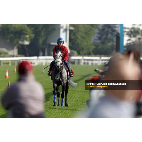 Morning trackworks at Sha Tin racetrack - Glass Harmonium Hong Kong- Sha Tin, 8th dec. 2010 ph. Stefano Grasso