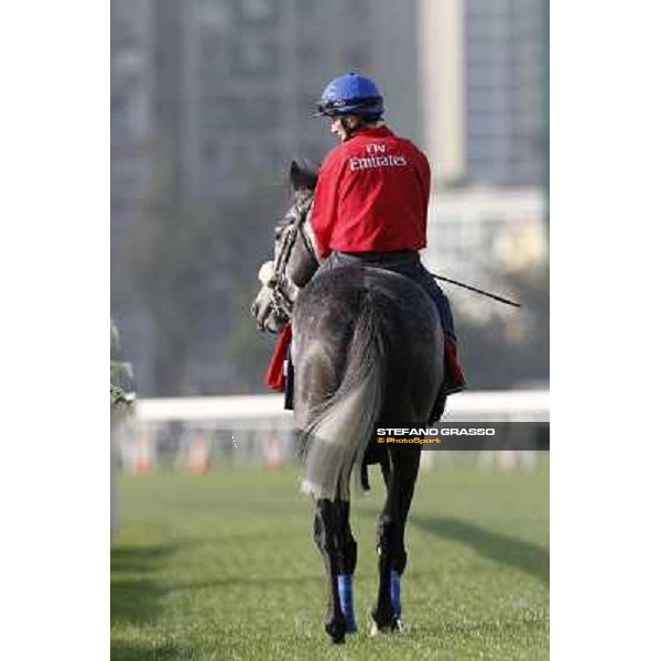 Morning trackworks at Sha Tin racetrack - Glass Harmonium Hong Kong- Sha Tin, 8th dec. 2010 ph. Stefano Grasso