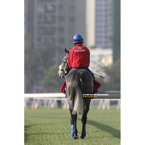 Morning trackworks at Sha Tin racetrack - Glass Harmomiun Hong Kong- Sha Tin, 8th dec. 2010 ph. Stefano Grasso