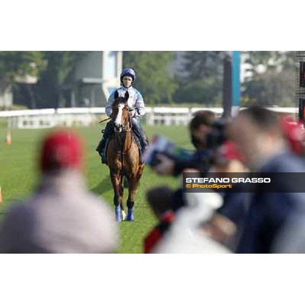 Morning trackworks at Sha Tin racetrack - Crystal Capella Hong Kong- Sha Tin, 8th dec. 2010 ph. Stefano Grasso