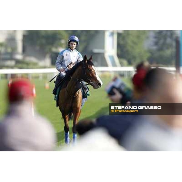 Morning trackworks at Sha Tin racetrack - Christal Capella Hong Kong- Sha Tin, 8th dec. 2010 ph. Stefano Grasso