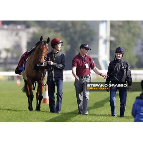 Morning trackworks at Sha Tin racetrack - Beethoven and his connection Hong Kong- Sha Tin, 8th dec. 2010 ph. Stefano Grasso