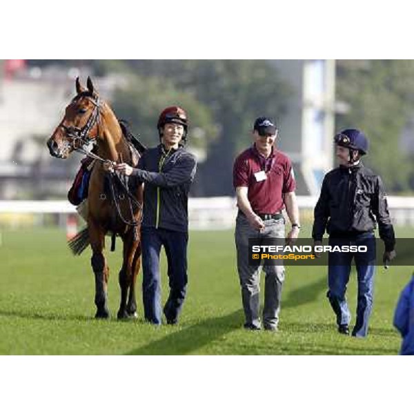 Morning trackworks at Sha Tin racetrack - Beethoven and his connection Hong Kong- Sha Tin, 8th dec. 2010 ph. Stefano Grasso