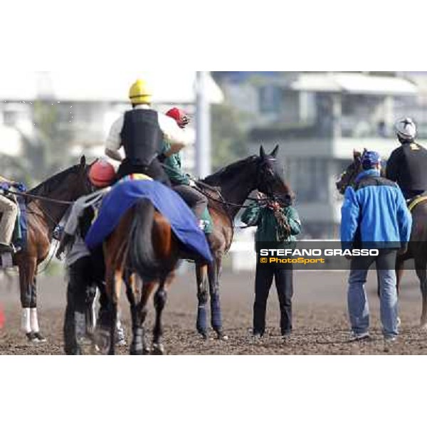 Morning trackworks at Sha Tin racetrack - Jakkalberry Hong Kong- Sha Tin, 8th dec. 2010 ph. Stefano Grasso