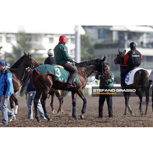 Morning trackworks at Sha Tin racetrack - Endo Botti and Jakkalberry Hong Kong- Sha Tin, 8th dec. 2010 ph. Stefano Grasso