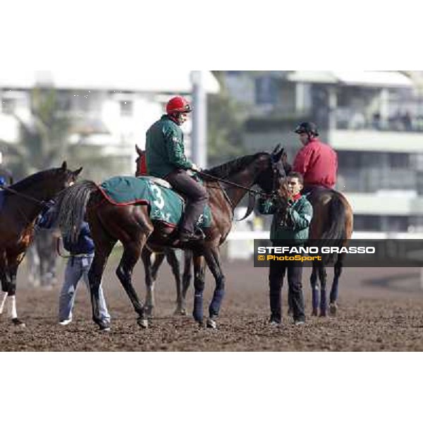 Morning trackworks at Sha Tin racetrack - Jakkalberry Hong Kong- Sha Tin, 8th dec. 2010 ph. Stefano Grasso