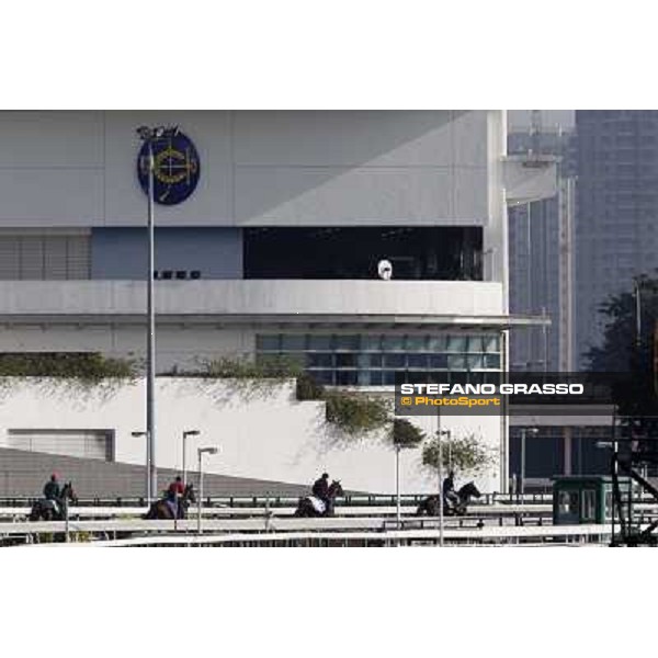 Morning trackworks at Sha Tin racetrack - Jakkalberry Hong Kong- Sha Tin, 8th dec. 2010 ph. Stefano Grasso