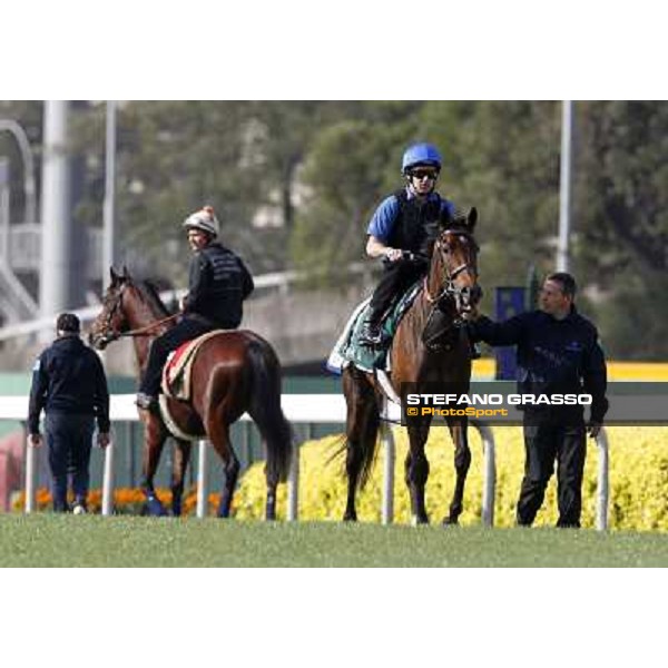 Morning trackworks at Sha Tin racetrack - Mastery and Sri Putra Hong Kong- Sha Tin, 8th dec. 2010 ph. Stefano Grasso