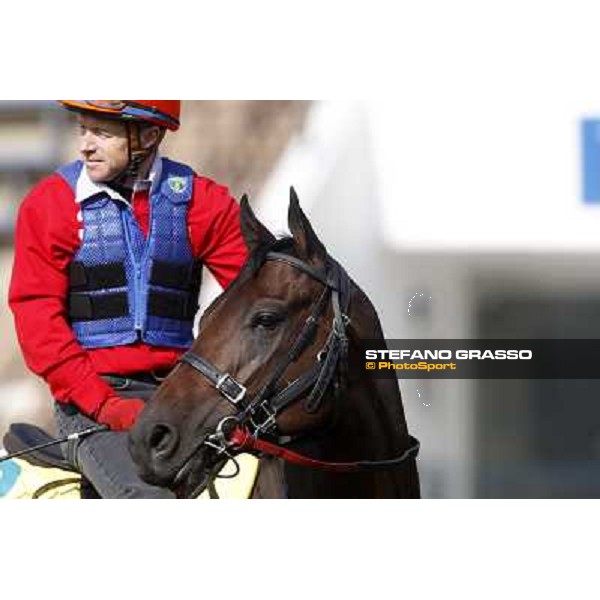 Morning trackworks at Sha Tin racetrack - Rocket Man Hong Kong- Sha Tin, 8th dec. 2010 ph. Stefano Grasso