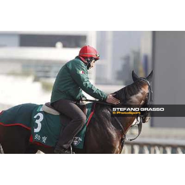 Morning trackworks at Sha Tin racetrack - Endo Botti and Jakkalberry Hong Kong- Sha Tin, 8th dec. 2010 ph. Stefano Grasso