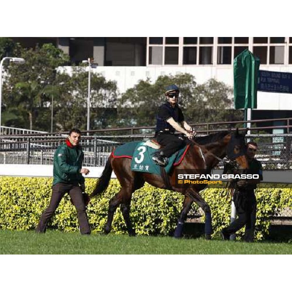 Morning track works at Sha Tin racecourse - Jakkalberry Hong Kong- Sha Tin, 9th dec. 2010 ph. Stefano Grasso