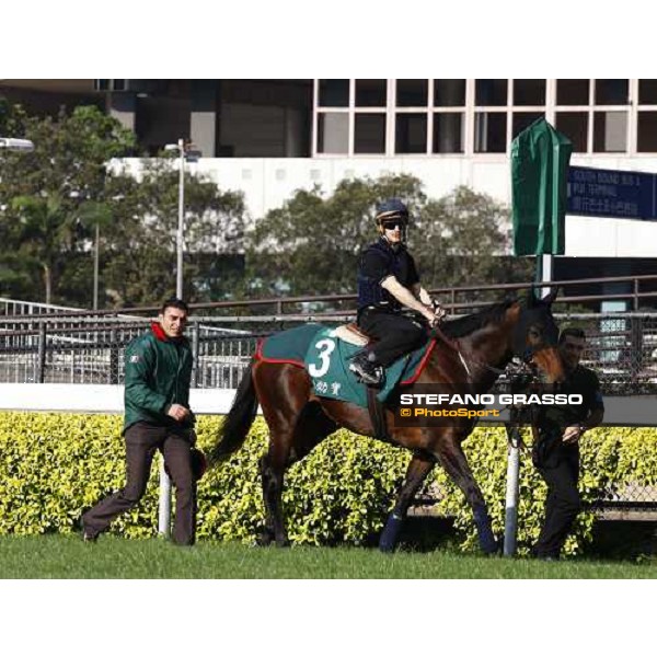 Morning track works at Sha Tin racecourse - Jakkalberry Hong Kong- Sha Tin, 9th dec. 2010 ph. Stefano Grasso