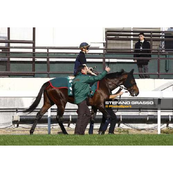 Morning track works at Sha Tin racecourse - Jakkalberry Hong Kong- Sha Tin, 9th dec. 2010 ph. Stefano Grasso