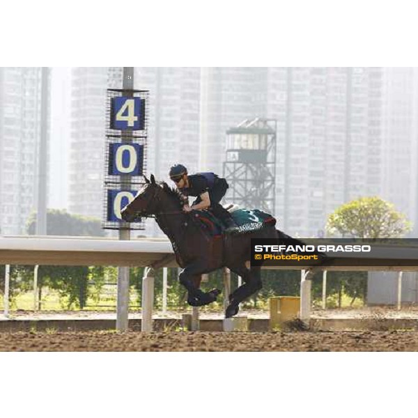 Morning track works at Sha Tin racecourse - Jakkalberry Hong Kong- Sha Tin, 9th dec. 2010 ph. Stefano Grasso