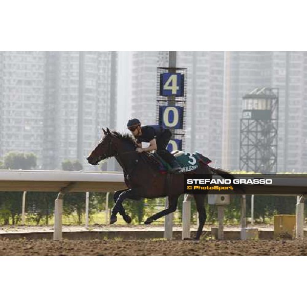 Morning track works at Sha Tin racecourse - Jakkalberry Hong Kong- Sha Tin, 9th dec. 2010 ph. Stefano Grasso