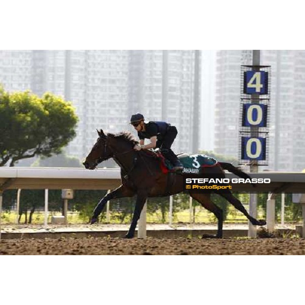 Morning track works at Sha Tin racecourse - Jakkalberry Hong Kong- Sha Tin, 9th dec. 2010 ph. Stefano Grasso