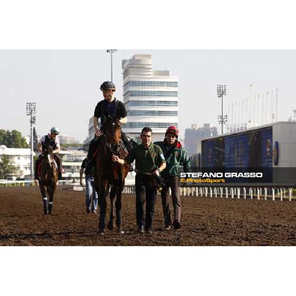 Morning track works at Sha Tin racecourse - Jakkalberry Hong Kong- Sha Tin, 9th dec. 2010 ph. Stefano Grasso