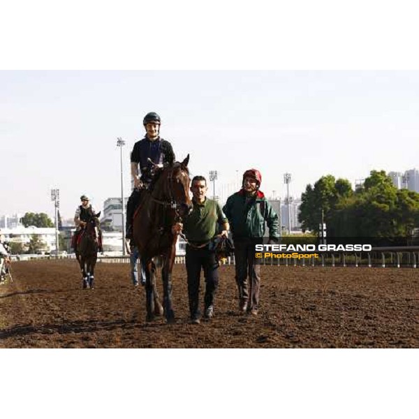 Morning track works at Sha Tin racecourse - Jakkalberry Hong Kong- Sha Tin, 9th dec. 2010 ph. Stefano Grasso