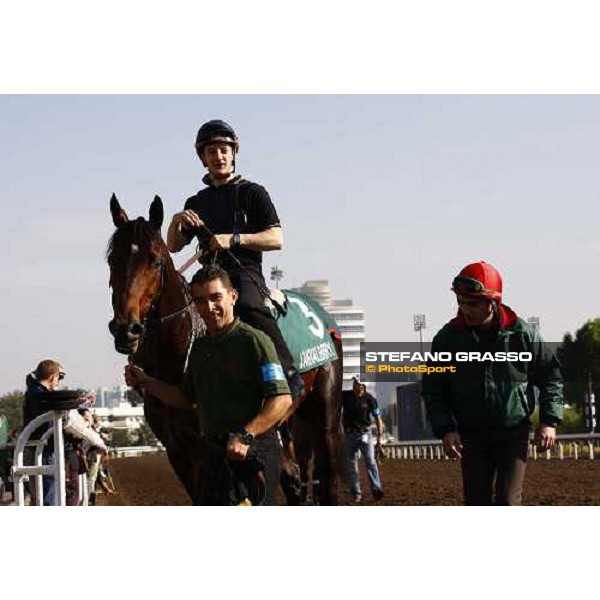 Morning track works at Sha Tin racecourse - Jakkalberry Hong Kong- Sha Tin, 9th dec. 2010 ph. Stefano Grasso