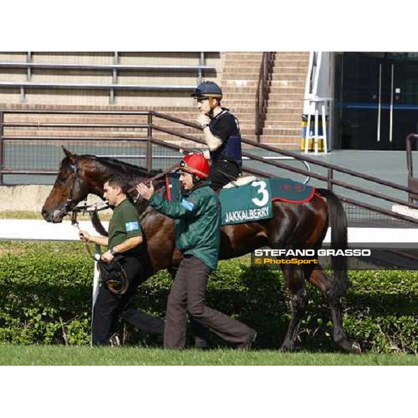 Morning track works at Sha Tin racecourse - Jakkalberry Hong Kong- Sha Tin, 9th dec. 2010 ph. Stefano Grasso