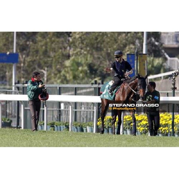 Morning track works at Sha Tin racecourse - Jakkalberry Hong Kong- Sha Tin, 9th dec. 2010 ph. Stefano Grasso