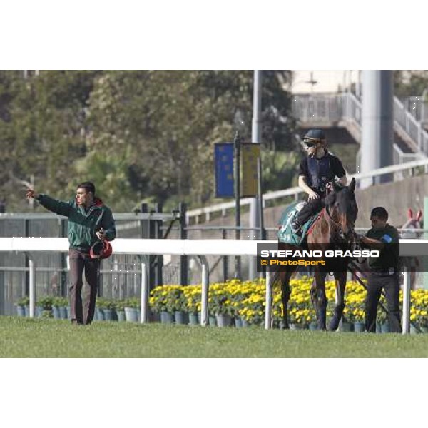 Morning track works at Sha Tin racecourse - Jakkalberry Hong Kong- Sha Tin, 9th dec. 2010 ph. Stefano Grasso