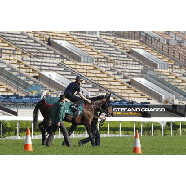 Morning track works at Sha Tin racecourse - Jakkalberry Hong Kong- Sha Tin, 9th dec. 2010 ph. Stefano Grasso